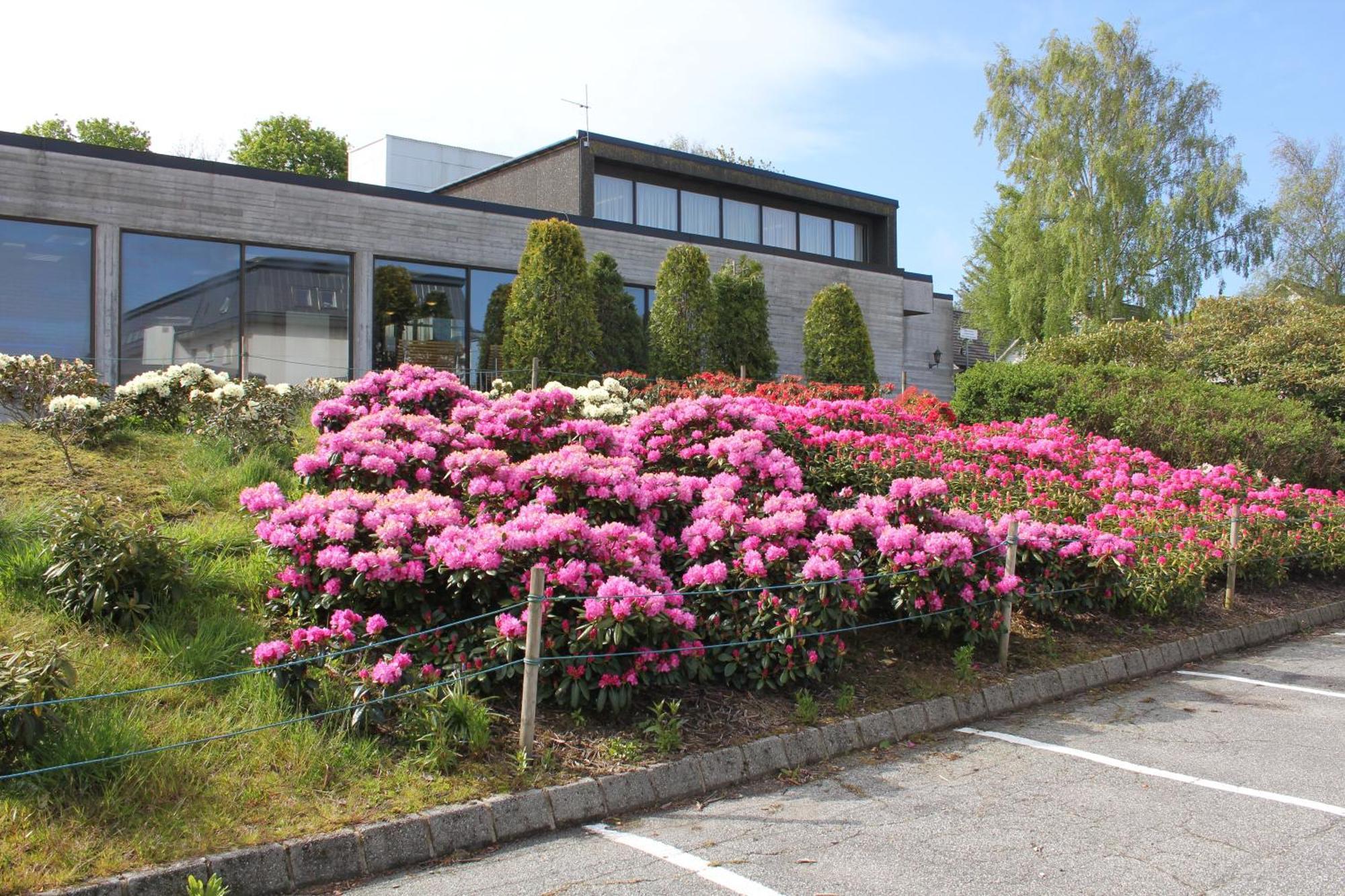 Solborg Folkehogskole Hostel Stavanger Ngoại thất bức ảnh