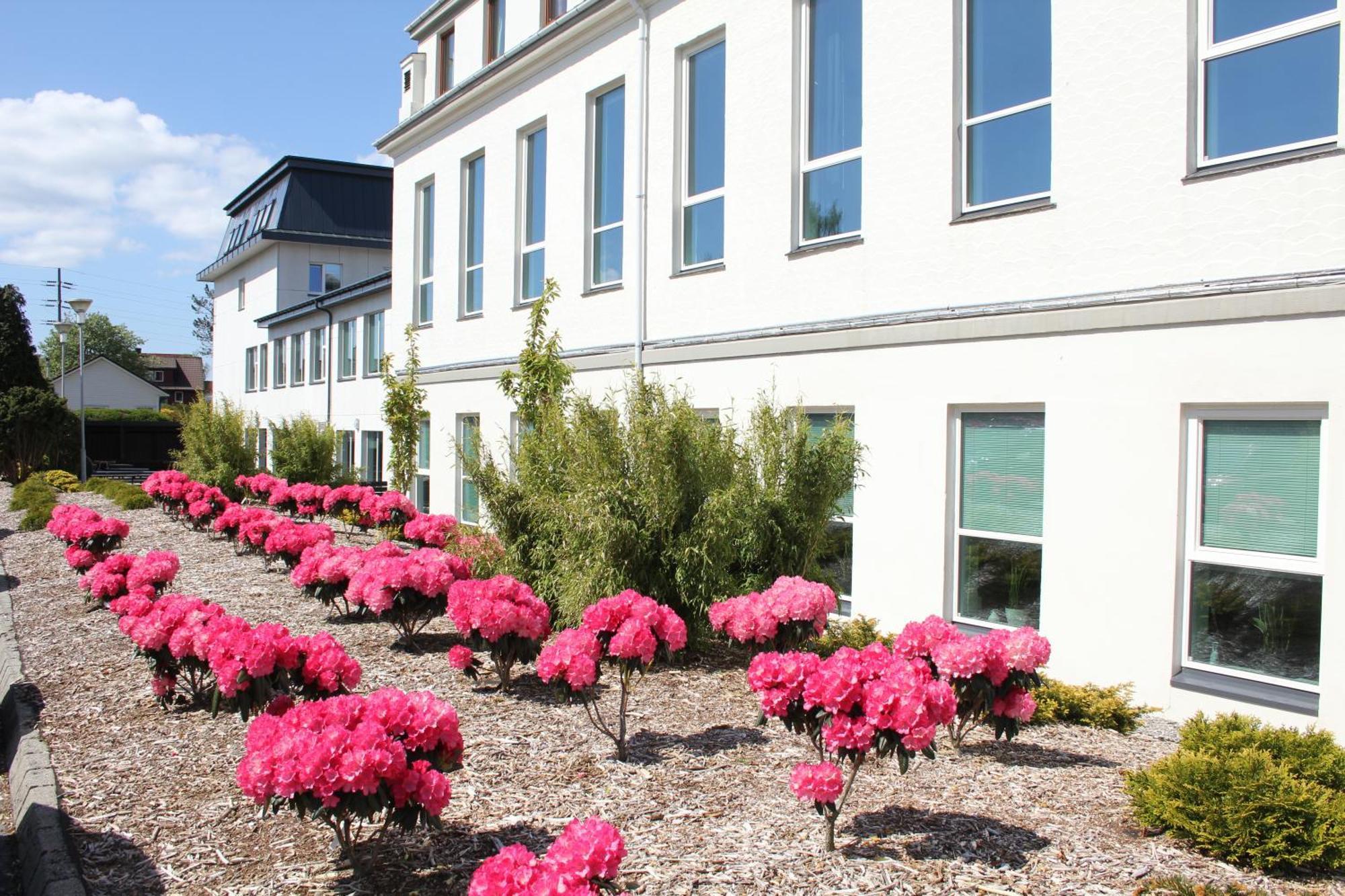 Solborg Folkehogskole Hostel Stavanger Ngoại thất bức ảnh